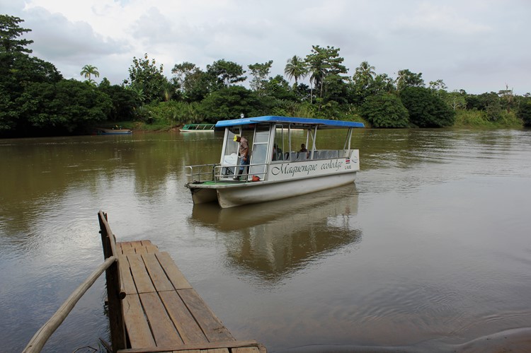 San Carlos rivier, Boca Tapada, Costa Rica